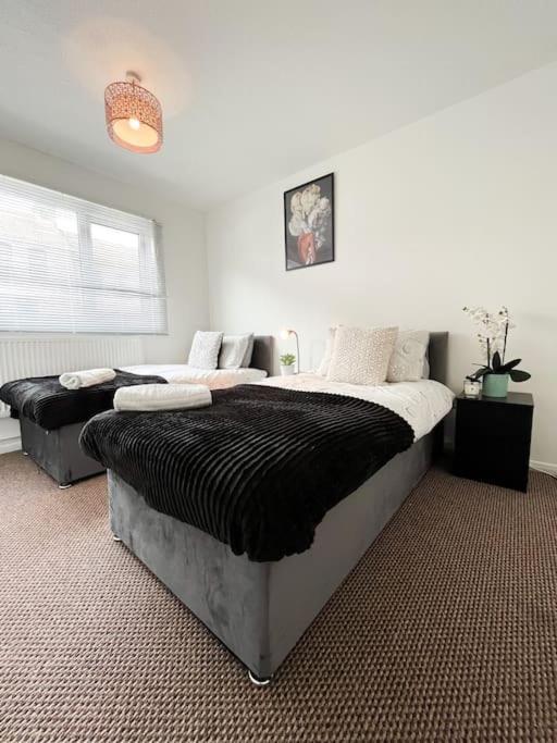 3 Bedroom House With Free Parking Chatham  Buitenkant foto