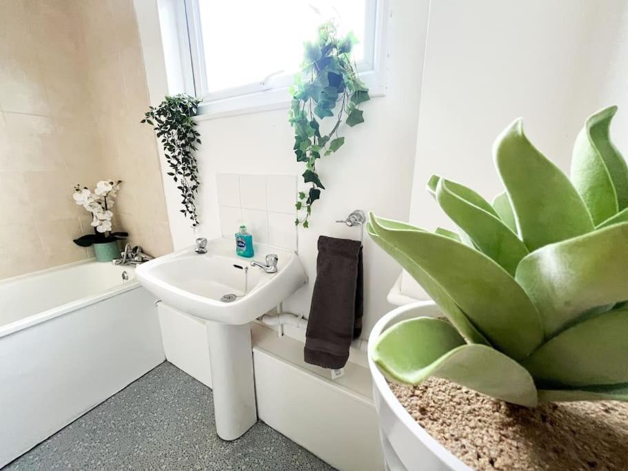 3 Bedroom House With Free Parking Chatham  Buitenkant foto